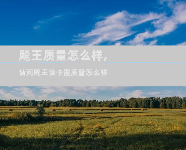 飚王质量怎么样,请问飚王读卡器质量怎么样